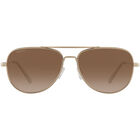 TRAILBLAZER, Gold-Mineral Polarized Drivers Gradient Cat 2 to 3, hi-res image number null